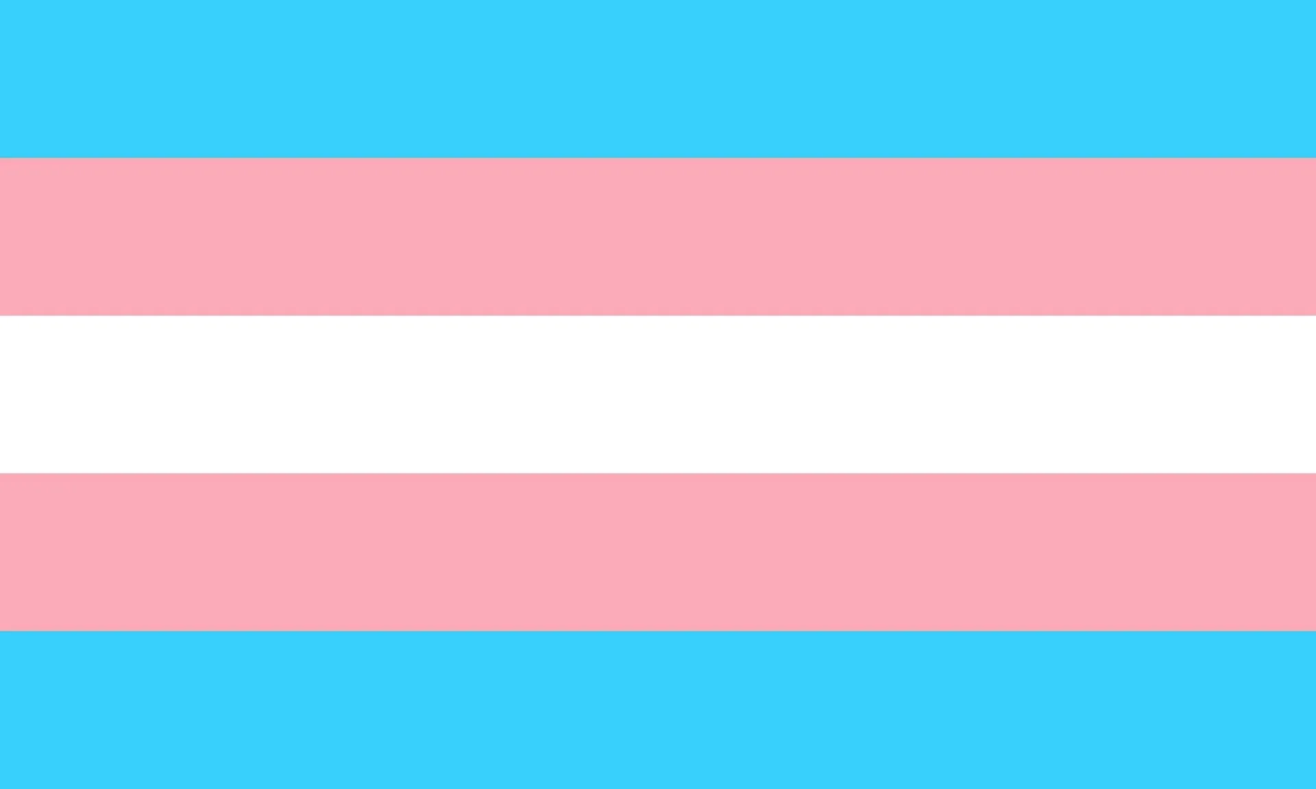 Transgenderflagge